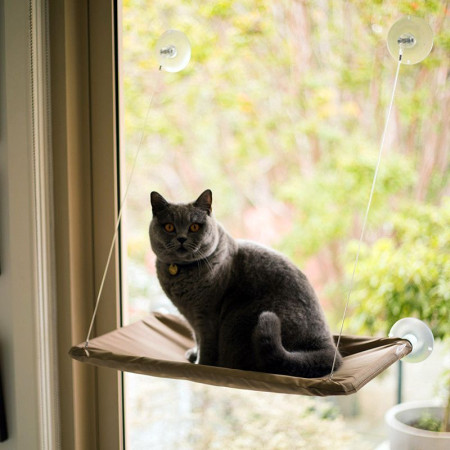 CAT BED : Hamac de Fenêtre pour Chat