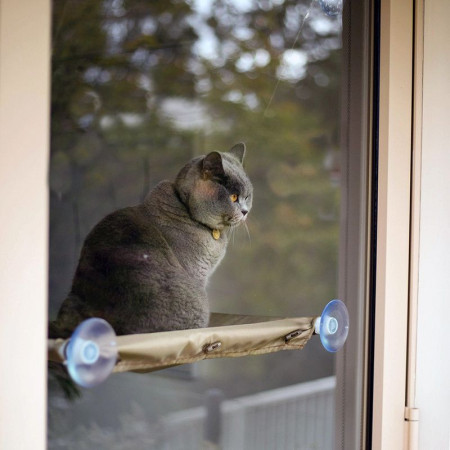 CAT BED : Hamac de Fenêtre pour Chat