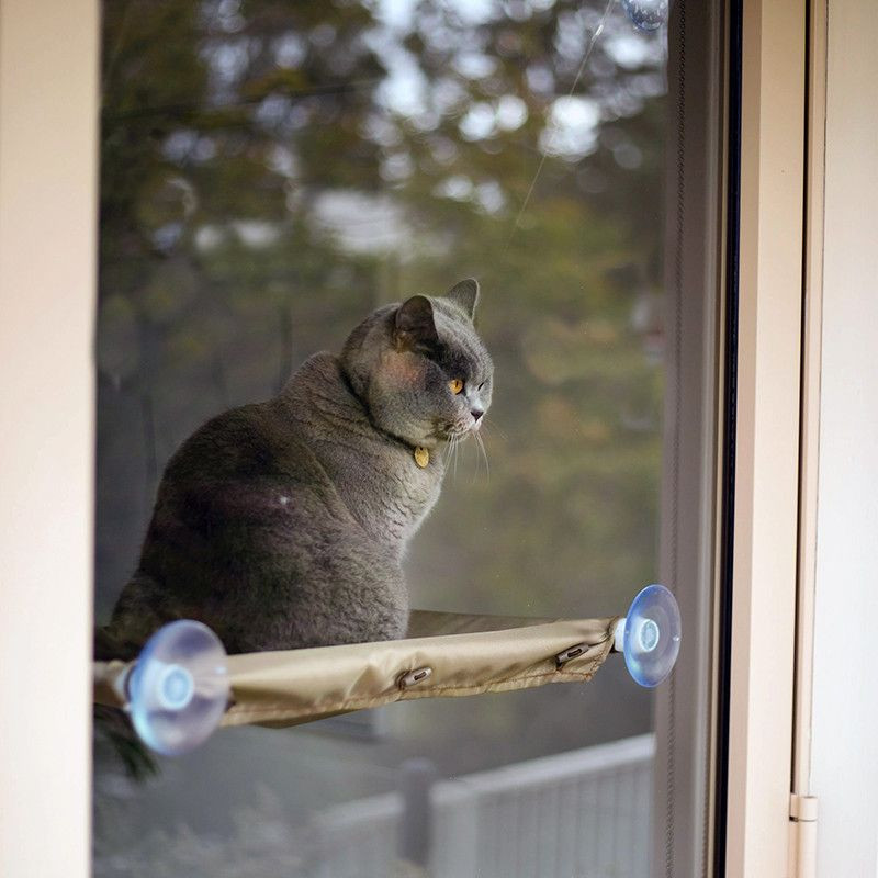 CAT BED : Hamac de Fenêtre pour Chat